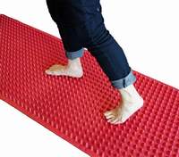 AOK Wide Sensory Walkway - Red